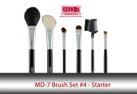 Starter Makeup Brush Set #4